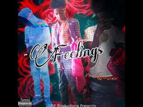 Li Gee- Feelings Ft. SkyJordxn (Official Audio)