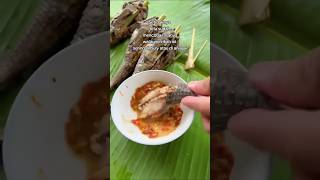 Download lagu Olahan ikan sapu sapu enak juga #masakan #kuliner #primitive #resepmasakan #mancing #ikansapusapu mp3 Download lagu Olahan ikan sapu sapu enak juga #masakan #kuliner #primitive #resepmasakan #mancing #ikansapusapu mp3