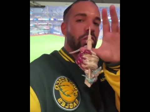 Drizzy live from the #WorldSeries! 🦉 Drake checks in from Game 1 in Toronto 👀