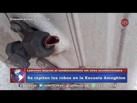 Importante robo al colegio Ameghino