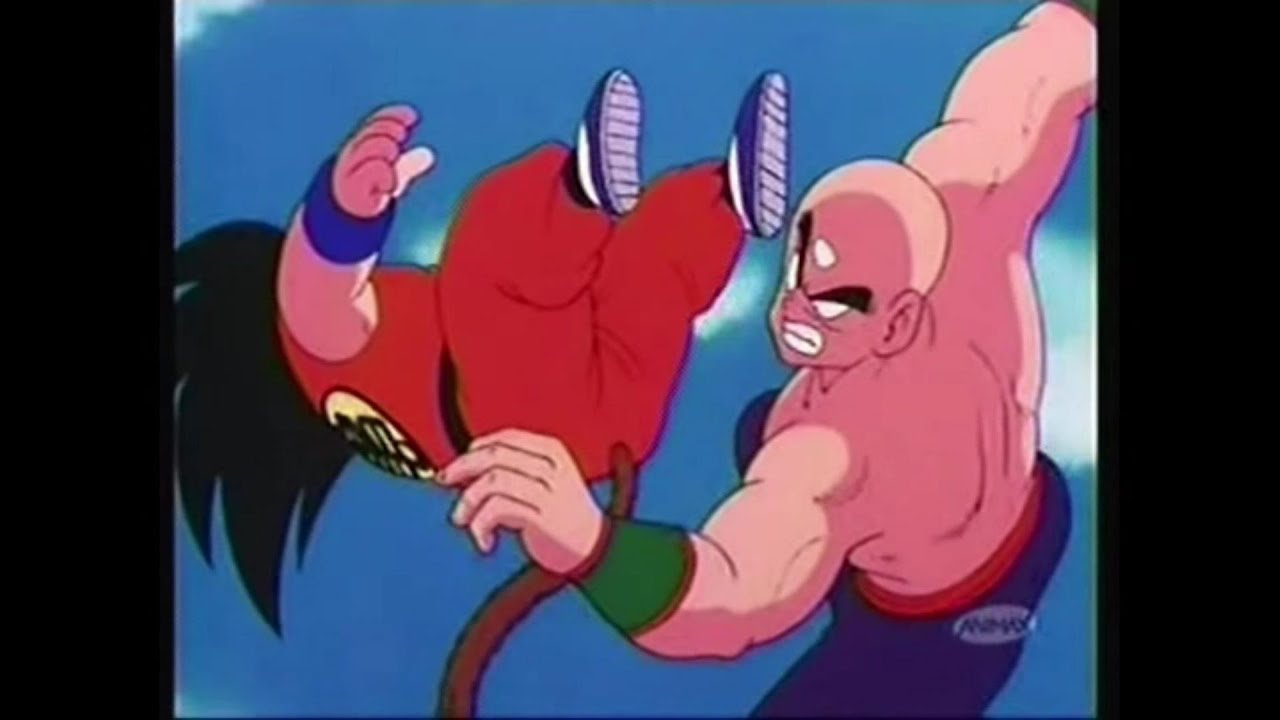 豊田真由子vs天津飯