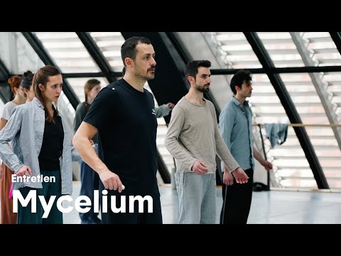 Mycelium  - Entretien avec Christos Papadopoulos