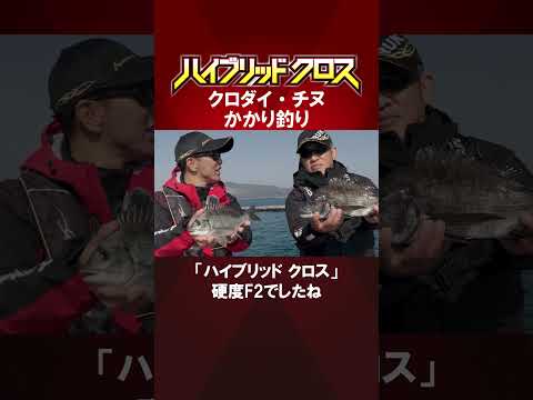 【クロダイ・チヌ かかり釣り】「ハイブリッド クロス」 #fishing #ハイブリッドクロス #チヌ #クロダイ #山本孝義 #森圭一郎 #釣り
