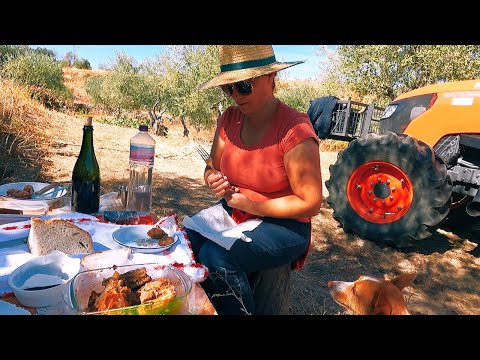 A Casinha Ganha Forma: Etapa 2 da Construção; Com Merenda na Horta