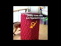 Dogs Open Best Christmas Present EVER | The Dodo