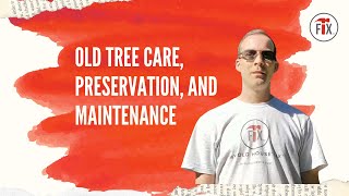 Old Tree Care, Preservation, and Maintenance
