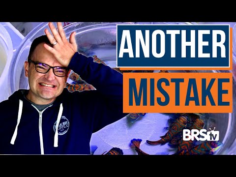 40 Beginner Reef Tank Mistakes & How to Avoid Them! EP: 11