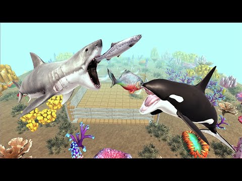 4 water units added in the update. Great white shark and orca! - Animal Revolt Battle Simulator