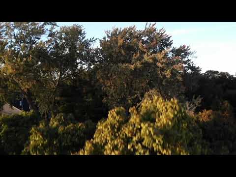 Royal Oak & Grosse Pointe, Michigan - Flyover with DJI Mavic Air