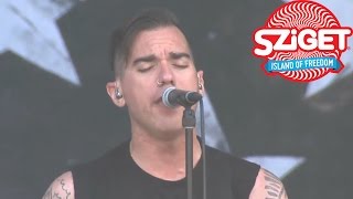 Anti-Flag Live - If You Wanna Steal (You Better Learn How To Lie) @ Sziget 2014