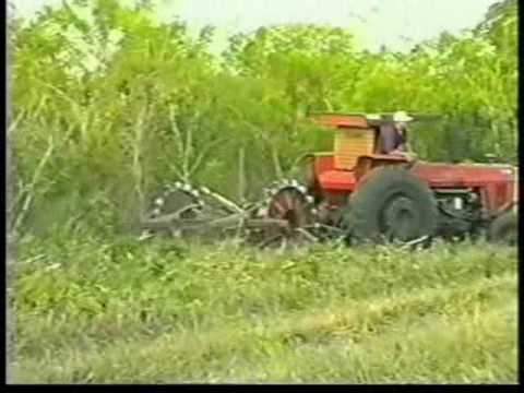 Roçadeiras Dalle Vedove