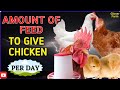 How Much Feed To Give Your Chicken Per Day Broiler Layer SASSO And Local Chicken