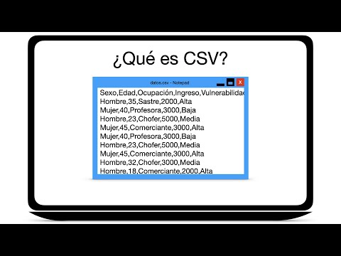 What is CSV?