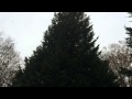 Ice and Snow