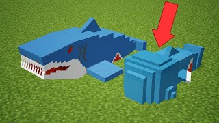 [Vtub] 鯊魚 VS 鯊鯊 - MC Cup杯 同人動畫