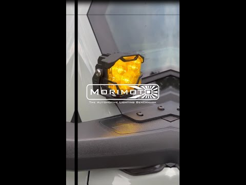 The BEST off road pod lights around! The Morimoto #4bangers