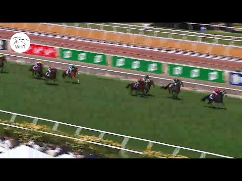 ALL THE ACTION FROM THE MELBOURNE CUP CARNIVAL