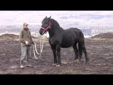 Cai Floresti, Cluj 2016