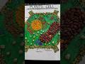 Plants Cell Using GRAINS AND PULSES Art Cell Craft Handmade Trending Plants