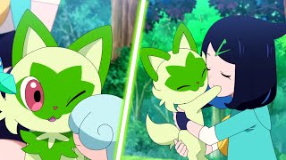 Liko's Sprigatito: A Tale Of Friendship & Adventure! [AMV] Pokémon Horizons Episode 40 AMV