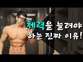 체력을 꼭 키워야 하는 진짜 이유! (to.6개월 미만의 헬린이들에게)
