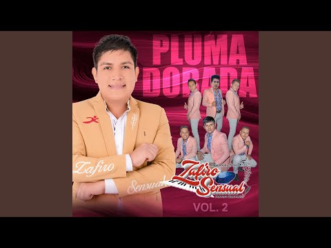 Nunca Acepté Mi Error