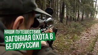 Охотничий и рыболовный туризм в республике беларусь