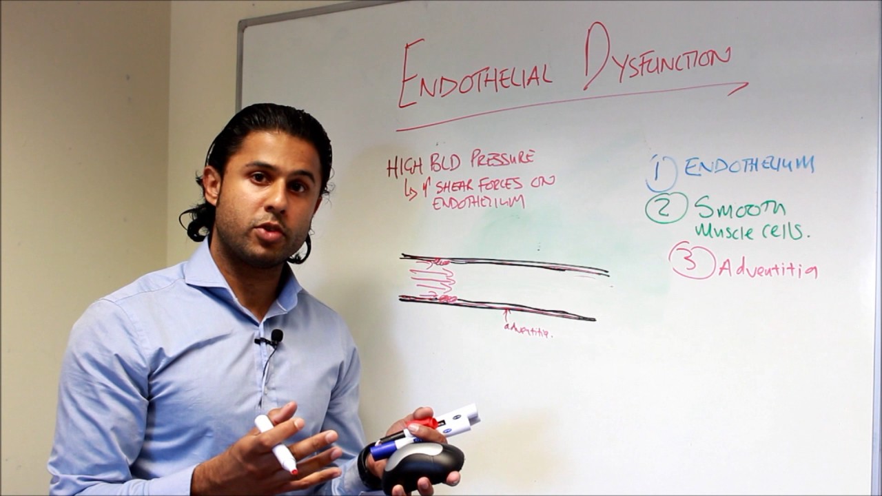 Part I - An Intro to Endothelial Dysfunction and Atherosclerosis - YouTube