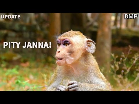 Million Sad Poor Janna Was Chased By Forest Monkey Attacked Her Seriously Got Terrible Injured Blue