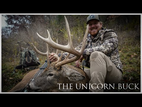 THE UNICORN BUCK | WISCONSIN GIANT WHITETAIL WITH BOW | HANG AND HUNTING THE RUT
