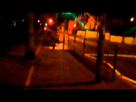 Late night adventures with Rufus!