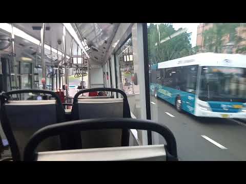 Transit Systems - 8106 - BYD K9Ra Electric/Gemiliang Ecocity [Leichhardt](389 - Bondi Junction)