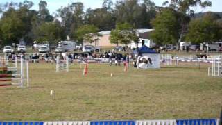 preview picture of video 'Copabella Vegas at Gunnedah Show Jumping Festival July 5th 2009'