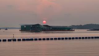 Sunrise 14th August 2026