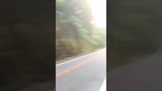 樫内利政 撮影　焼肉