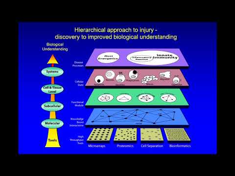 Response to Injury and Stress: A Genomic Storm