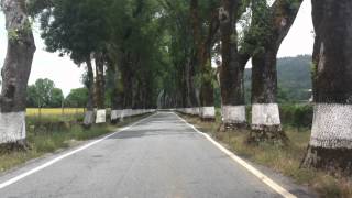 preview picture of video 'Estrada das Árvores Fechadas em Marvão'