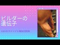 ボデイビルに向いたカラダ 2021年ボデイビル競技初挑戦!