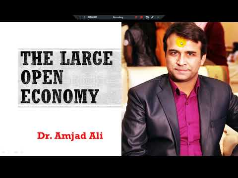 Thumbnail for The Large Open Economy: Mankiw by N. Gregory Mankiw