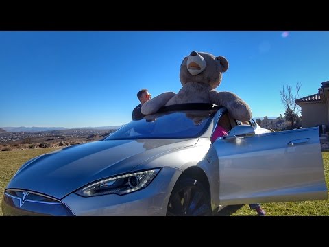 Tesla full of Teddy Bears!