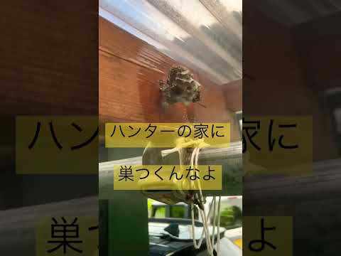 スナバチの営巣補助具を作成する トピックス