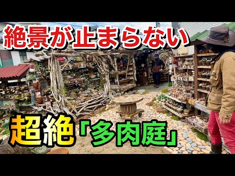 成功した屋外デザインの 34 のアイデアからなるガーデンハンギングチェア  庭園