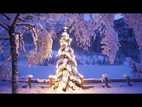 ❤️❄Эдгар Туниянц . ❄Сборник Потрясающе Красивых Мелодий.❄🎧