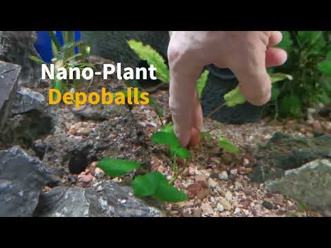 Nano-Plant Depoballs - Aqua-Tropica - Düngekugeln zur gezielten Wurzeldüngung