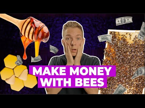 , title : 'Beekeeping for Profit Can Pay $10,000 per Month!'