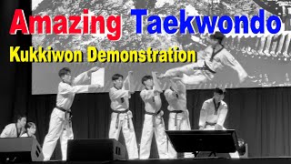 Amazing Taekwondo - Kukkiwon Demonstration Team