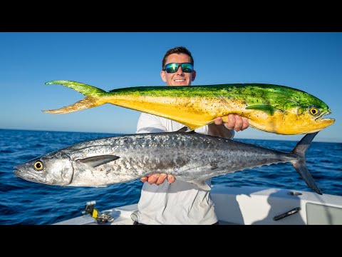 PRIZED vs.TRASH Fish on NEW Boat! Catch Clean Cook (Twin Vee 280GFX)