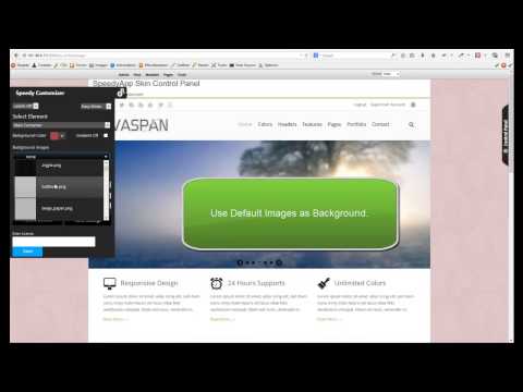 Vaspan DotNetNuke Skin Customizer - SpeedyApplication.com