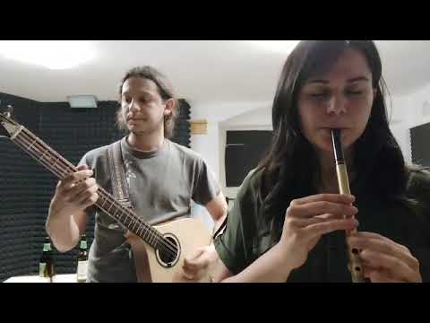 Irish Jig - Tin whistle and bouzouki - A quick preview: Frost is all over