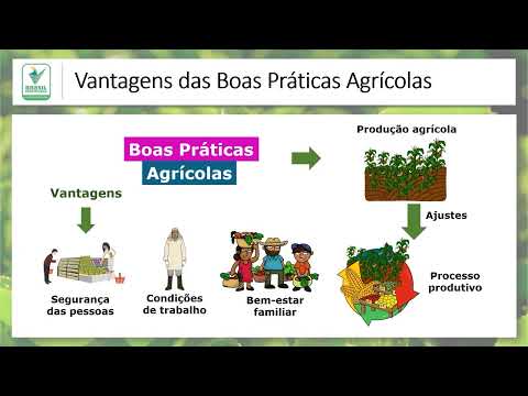 Boas Práticas Agrícolas - Introdução às Boas Práticas Agrícolas - Aula01